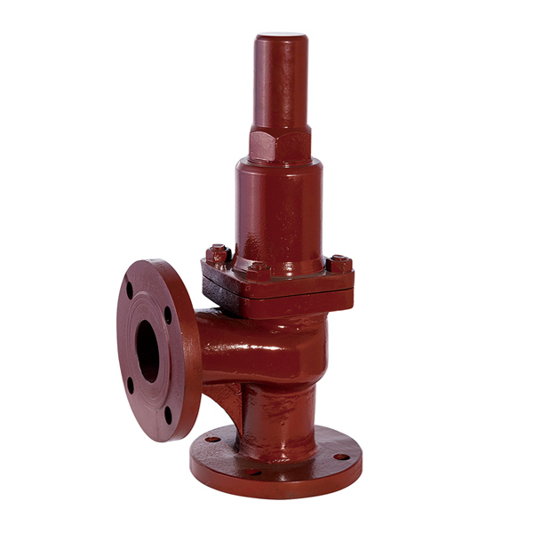 CBT3843 DN 80 Pressure Relief Valve